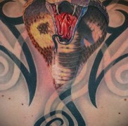 Betydningen af ​​kobra -tatoveringen 3464754