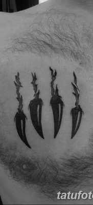 fotó a karmokról, tetoválás dátuma: 2017.09.13. №119 - tetováló karmok -