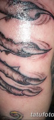fotó tetováló karmok kelt 2017. 09. 13 -án №122 - tetováló karmok -