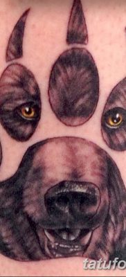 fotó a karmokról, tetoválás dátuma: 2017. 09. 13. №001 - tetováló karmok -