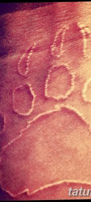 fotó tetováló karmok kelt 2017. 09. 13 -án №019 - tetováló karmok -