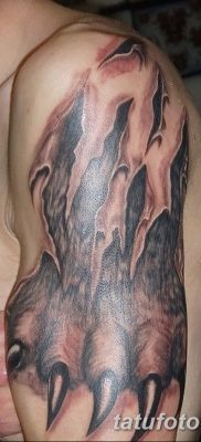 fotó tetováló karmok kelt 2017. 09. 13 -án №021 - tetováló karmok -