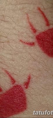 fotó tetováló karmok kelt 2017. 09. 13 -án №042 - tetováló karmok -