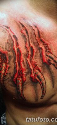 fotó tetováló karmok kelt 2017.09.13. №062 - tetováló karmok - 12323123