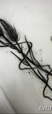 صورة وشم أذن القمح من 21.12.2017 №036 - وشم سبايك القمح -