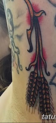 صورة وشم أذن القمح من 21.12.2017 №058 - وشم سبايك القمح -