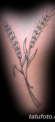 صورة وشم أذن من القمح من 21.12.2017 №059 - وشم سبايك القمح -