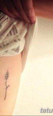 صورة وشم أذن من القمح من 21.12.2017 №003 - وشم سبايك القمح -