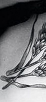 صورة وشم أذن القمح من 21.12.2017 №004 - وشم سبايك القمح -