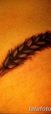 صورة وشم أذن القمح من 21.12.2017 №005 - وشم سبايك القمح -