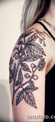 صورة وشم أذن القمح من 21.12.2017 №008 - وشم سبايك القمح -