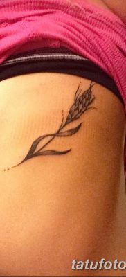 صورة وشم أذن القمح من 21.12.2017 №009 - وشم سبايك القمح -