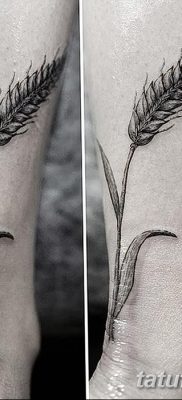 صورة وشم أذن القمح من 21.12.2017 №012 - وشم سبايك القمح -