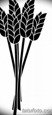 صورة وشم أذن القمح من 21.12.2017 №024 - وشم سبايك القمح -