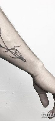 صورة وشم أذن القمح من 21.12.2017 №026 - وشم سبايك القمح -