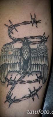 fotó szögesdrót tetoválásról, 2017. 07. 26 -án, 051. sz. - Szögesdrót tetoválás_