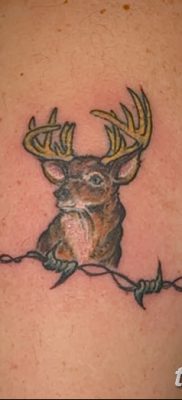 fotó szögesdrót tetoválásról, kelt 2017.07.26. 066. sz. - Szögesdrót tetoválás_