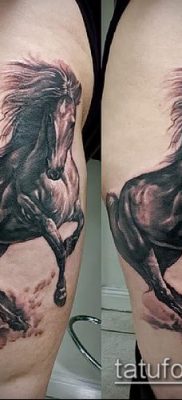 ló tetoválás fotó (jelentése) - példa egy érdekes tetoválási rajzra - 072