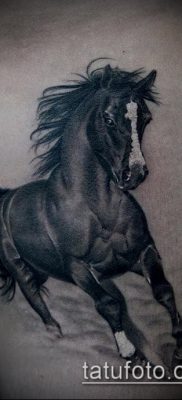 ló tetoválás fotó (érték) - példa egy érdekes tetoválási rajzra - 066