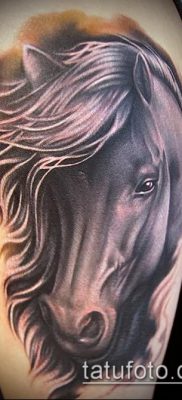ló tetoválás fotó (érték) - egy példa egy érdekes tetoválási rajzra - 059