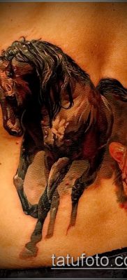 ló tetoválás fotó (érték) - egy példa egy érdekes tetoválási rajzra - 057