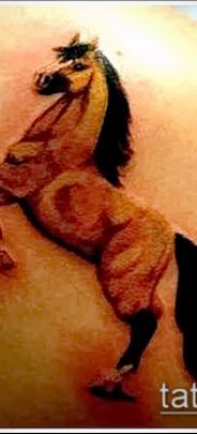 ló tetoválás fotó (érték) - példa egy érdekes tetováló rajzra - 050