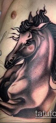 ló tetoválás fotó (érték) - egy példa egy érdekes tetoválási rajzra - 044