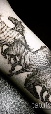 ló tetoválás fotó (érték) - példa egy érdekes tetováló rajzra - 035