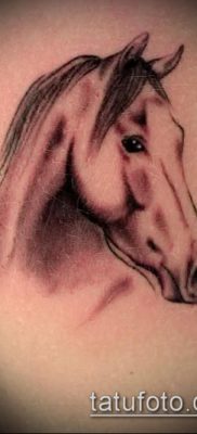 ló tetoválás fotó (érték) - példa egy érdekes tetoválási rajzra - 031