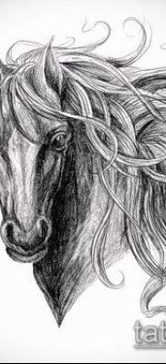 ló tetoválás fotó (érték) - példa egy érdekes tetoválási rajzra - 028