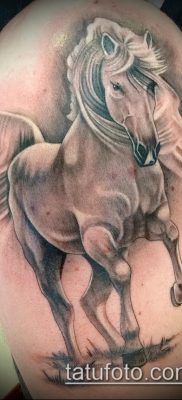 ló tetoválás fotó (érték) - példa egy érdekes tetoválási rajzra - 026