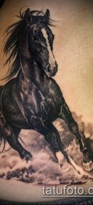 ló tetoválás fotó (érték) - egy példa egy érdekes tetoválási rajzra - 020