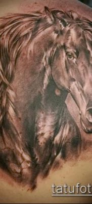 ló tetoválás fotó (érték) - egy példa egy érdekes tetoválási rajzra - 019