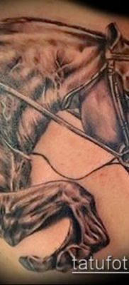 ló tetoválás fotó (érték) - egy példa egy érdekes tetoválási rajzra - 017