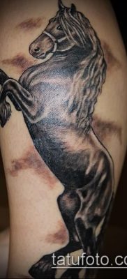 ló tetoválás fotó (érték) - példa egy érdekes tetováló rajzra - 016