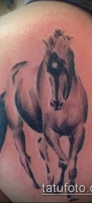 ló tetoválás fotó (érték) - egy példa egy érdekes tetoválási rajzra - 014
