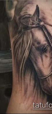 ló tetoválás fotó (érték) - példa egy érdekes tetováló rajzra - 012