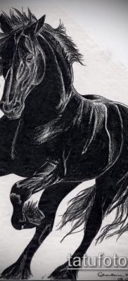 ló tetoválás fotó (érték) - példa egy érdekes tetoválási rajzra - 007