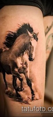 ló tetoválás fotó (érték) - példa egy érdekes tetoválási rajzra - 004