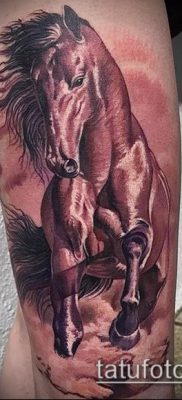 ló tetoválás fotó (érték) - egy példa egy érdekes tetoválási rajzra - 003