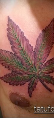 Fénykép tetováló marihuána (Tattoo Marijuana) (érték) - példa rajz - 003