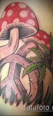 Fénykép tetováló marihuána (Tattoo Marijuana) (érték) - példa rajz - 006
