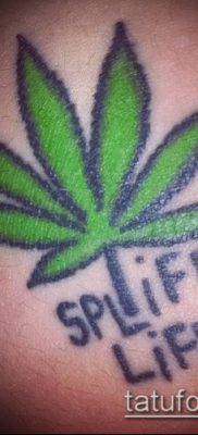 Fotó tetováló marihuánáról (Tattoo Marijuana) (érték) - példa rajz - 011