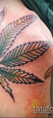 Fotó tetováló marihuánáról (Tattoo Marijuana) (érték) - példa rajz - 013