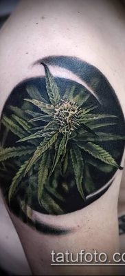 Fotó tetováló marihuánáról (Tattoo Marijuana) (érték) - példa rajz - 015