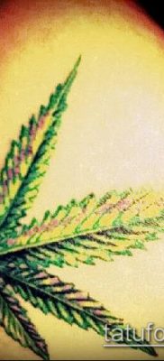 Fotó tetováló marihuánáról (Tattoo Marijuana) (érték) - példa rajz - 017