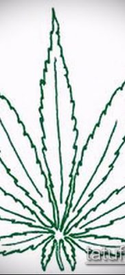 Fotó tetováló marihuánáról (Tattoo Marijuana) (érték) - példa rajz - 021