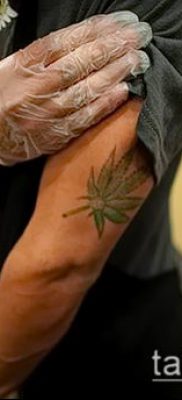 Fénykép tetováló marihuána (Tattoo Marijuana) (érték) - példa rajz - 029