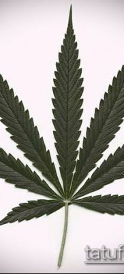 Fénykép tetováló marihuána (Tattoo Marijuana) (érték) - példa rajz - 032