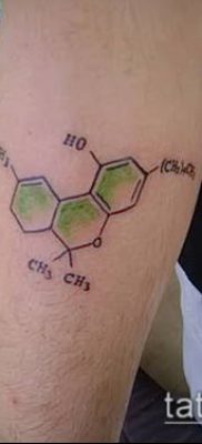 Fénykép tetováló marihuána (Tattoo Marijuana) (érték) - példa rajz - 033